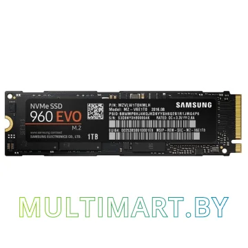 SSD диск Samsung 960 Evo 1TB (MZ-V6E1T0BW)